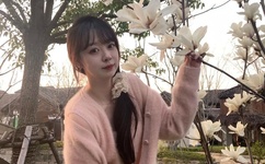 第二次曝光主题曲